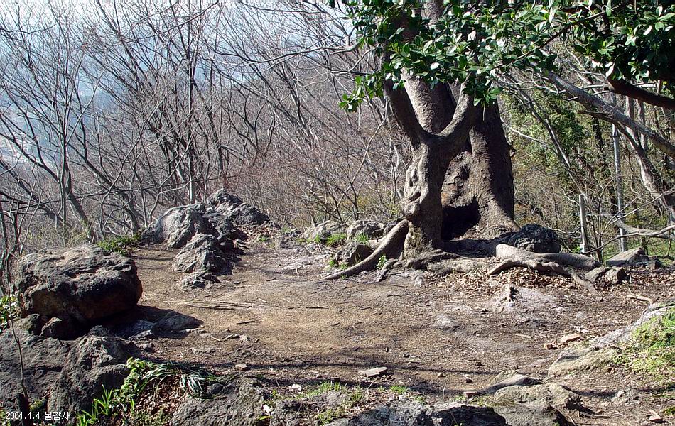 불갑산