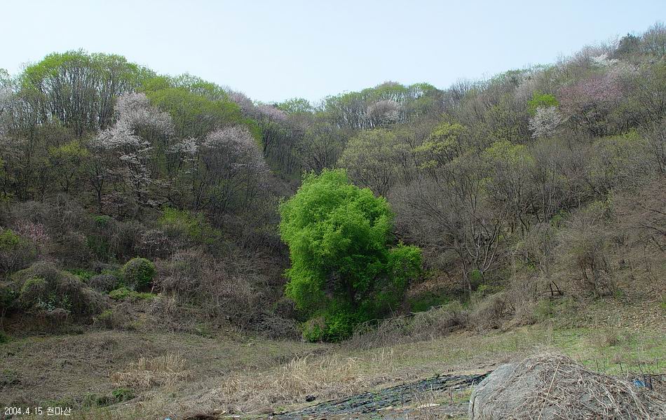 천마산
