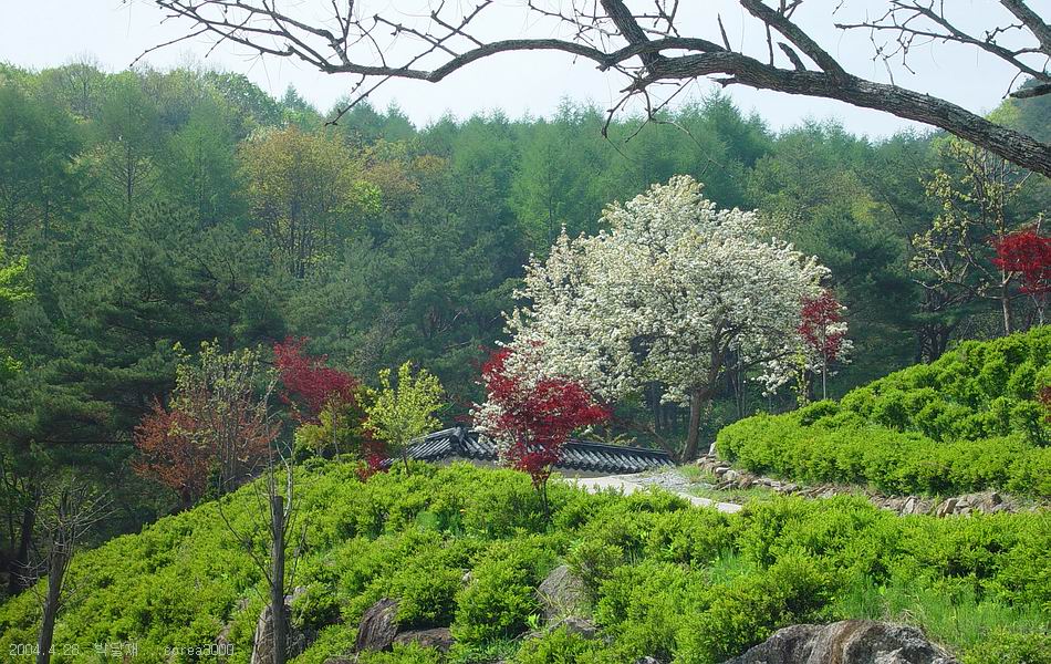 박달재