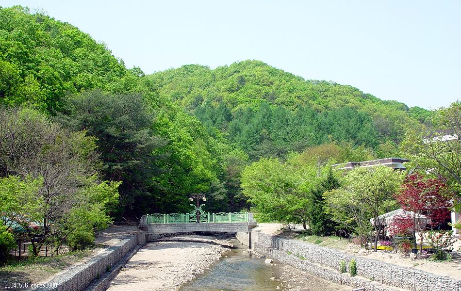 염정의