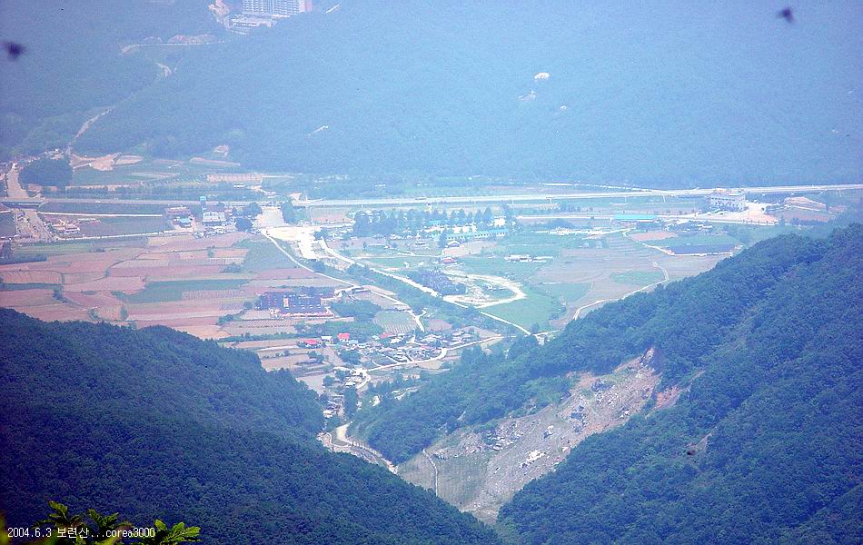 보련