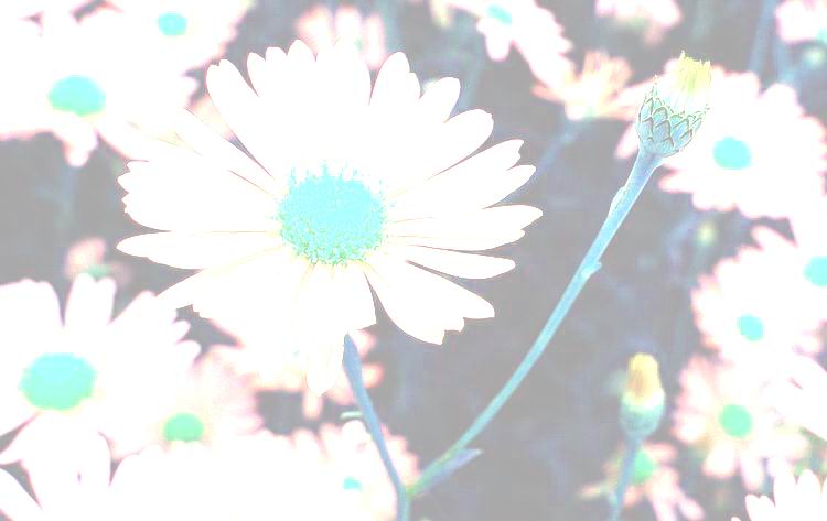 안흥
