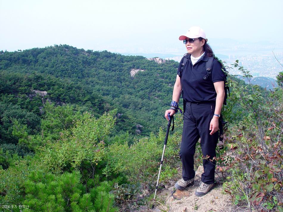 염정의