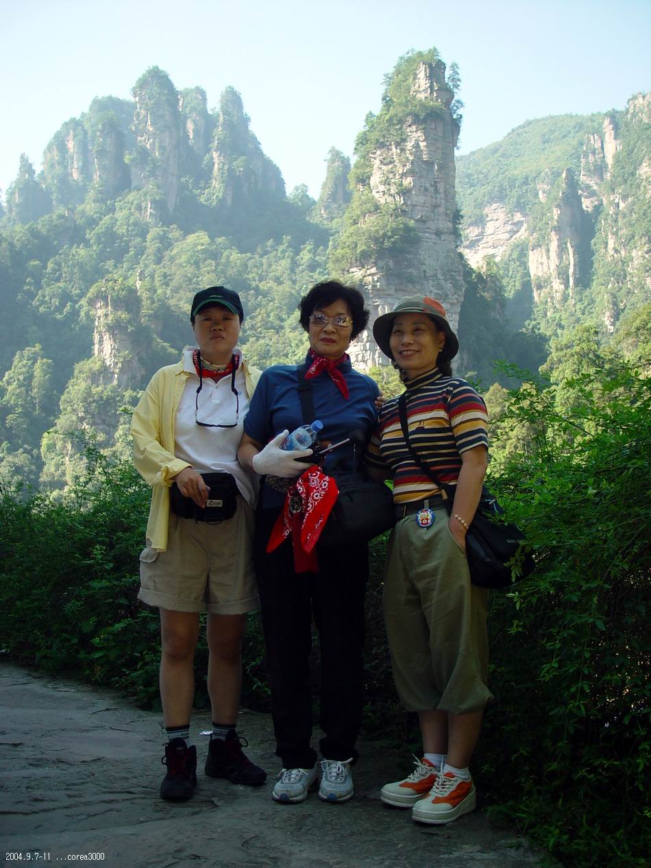 염정의
