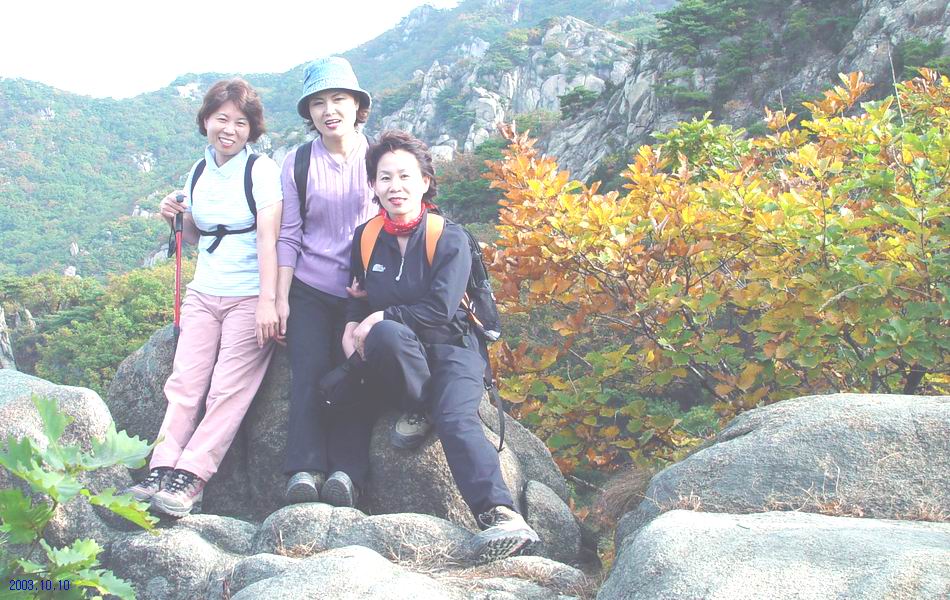 염정의
