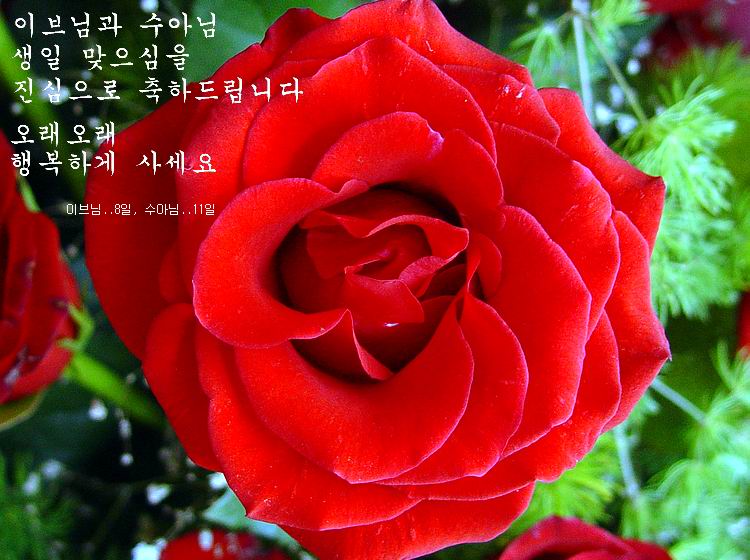 염정의
