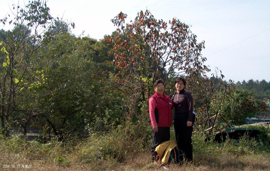 염정의