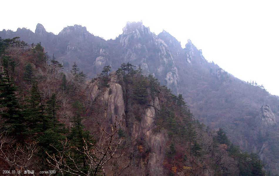염정의