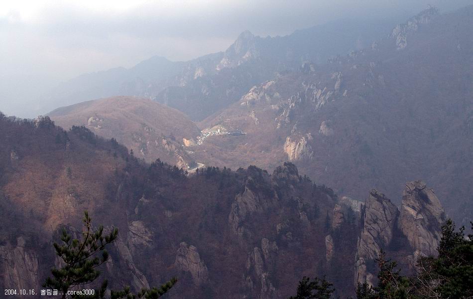 염정의