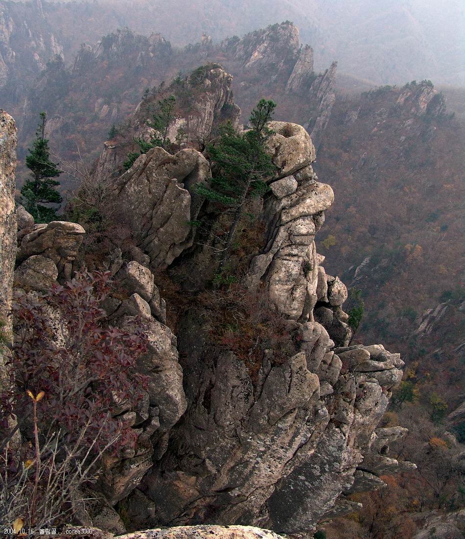 염정의