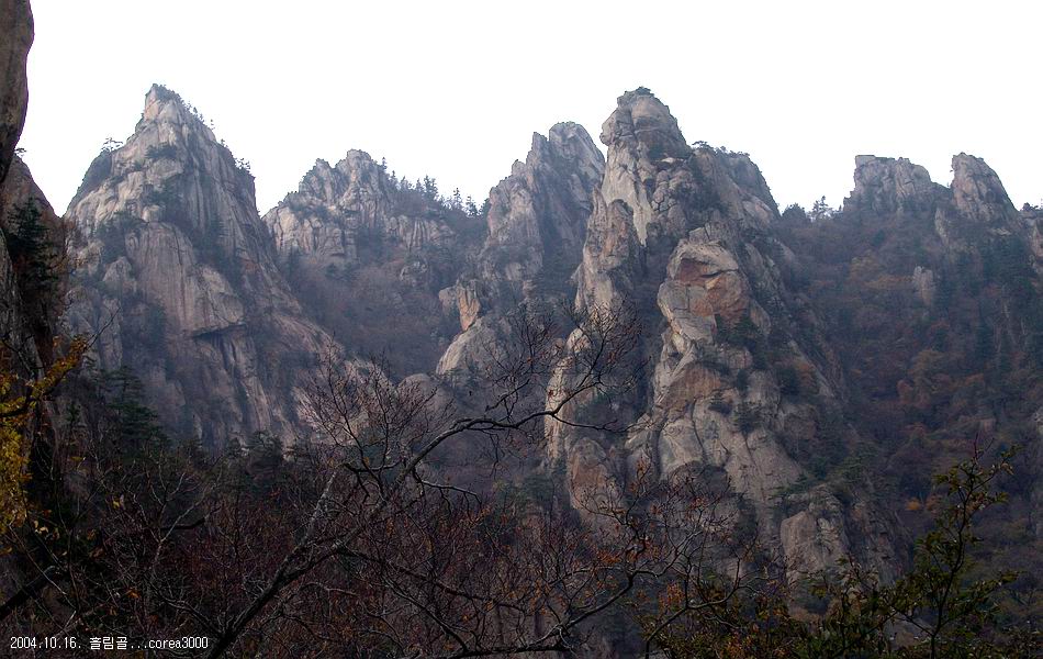 염정의