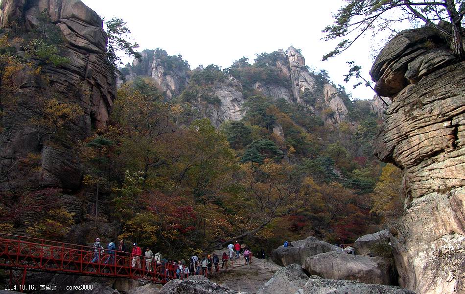 염정의
