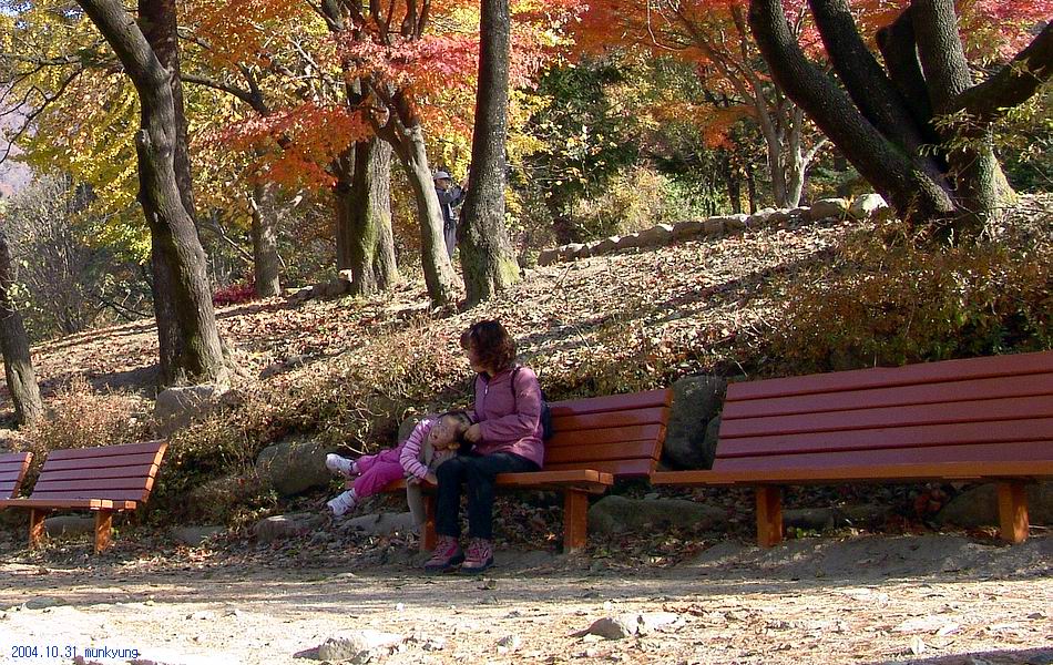 염정의