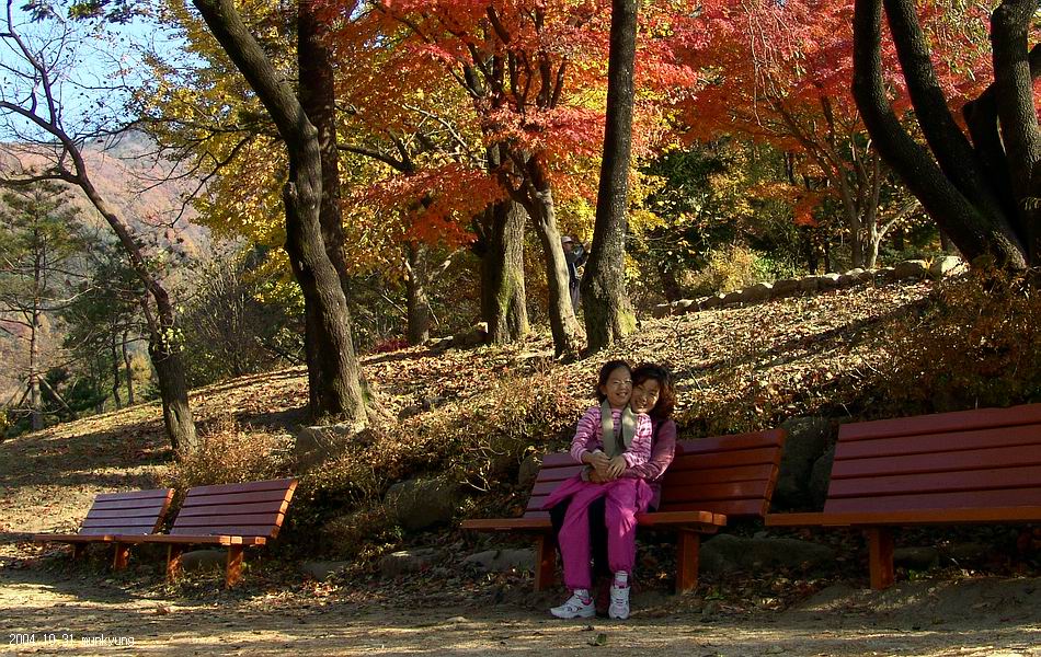 염정의