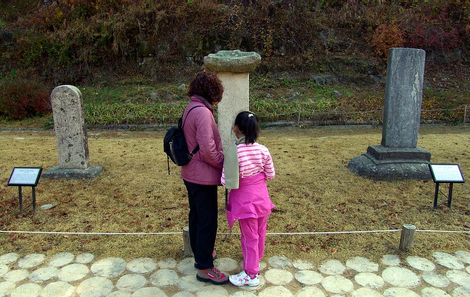 염정의