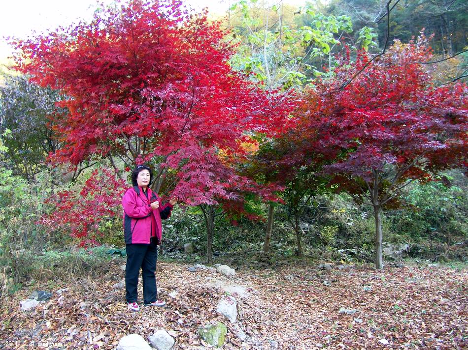 염정의