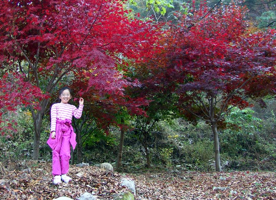 염정의