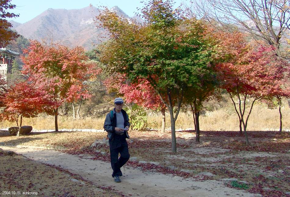 염정의