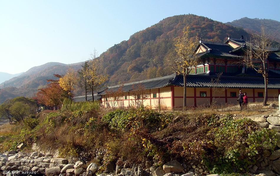 염정의