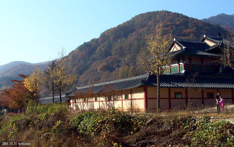 염정의