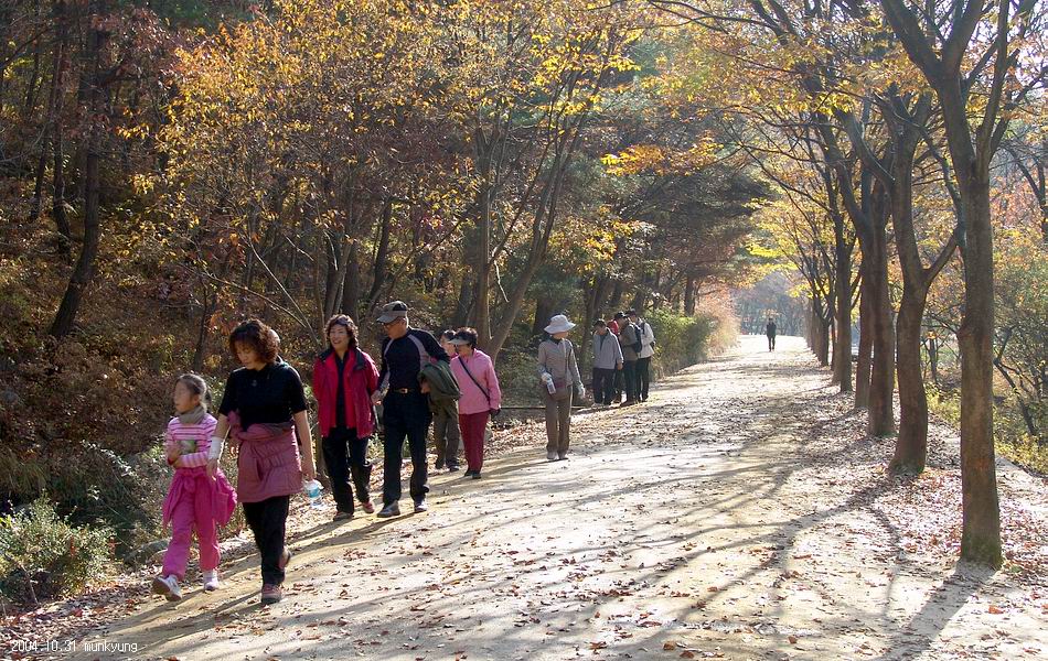 염정의