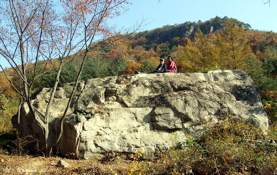 염정의