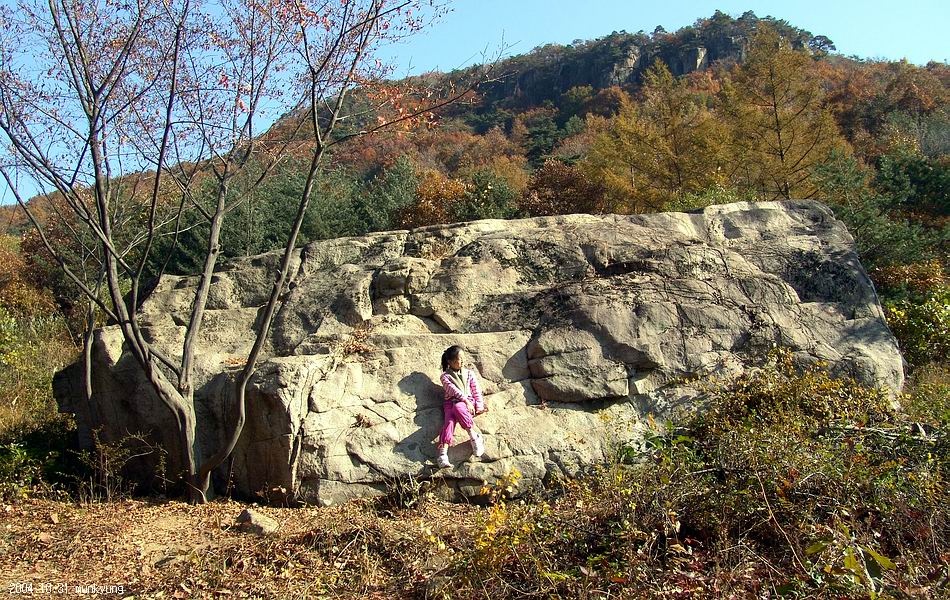 염정의