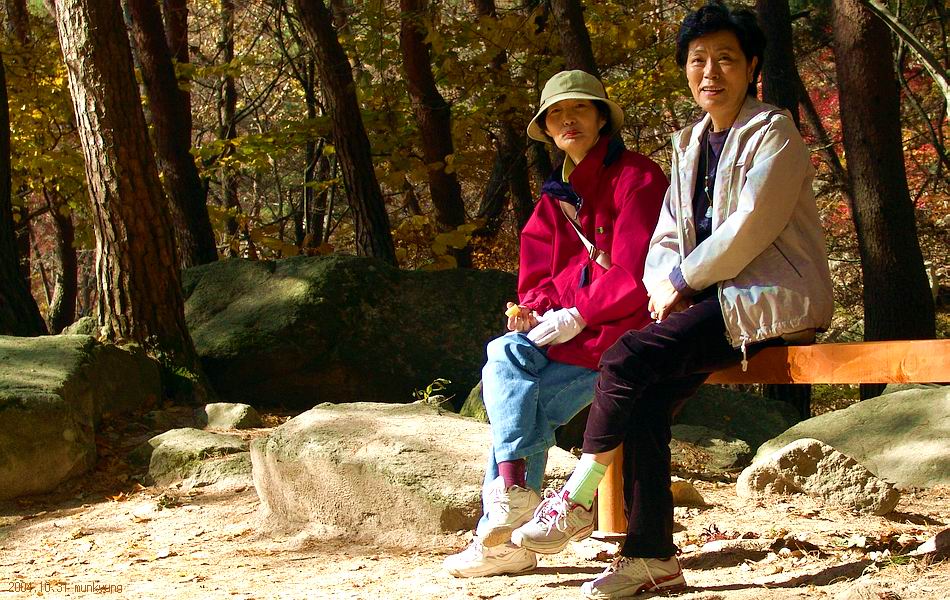 염정의