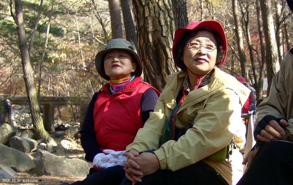 염정의