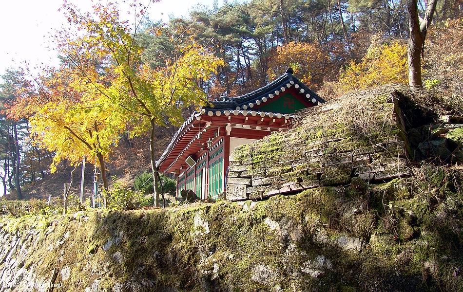 염정의