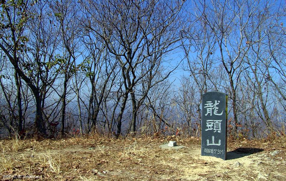 염정의