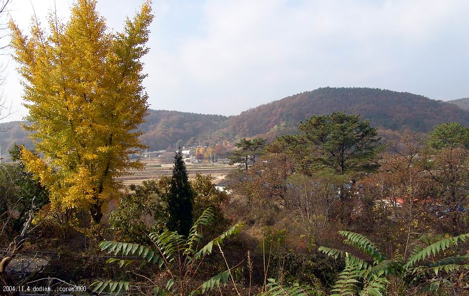 염정의