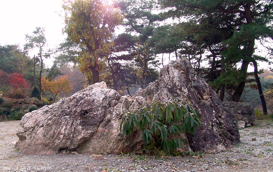 염정의