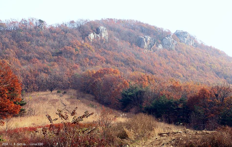 염정의