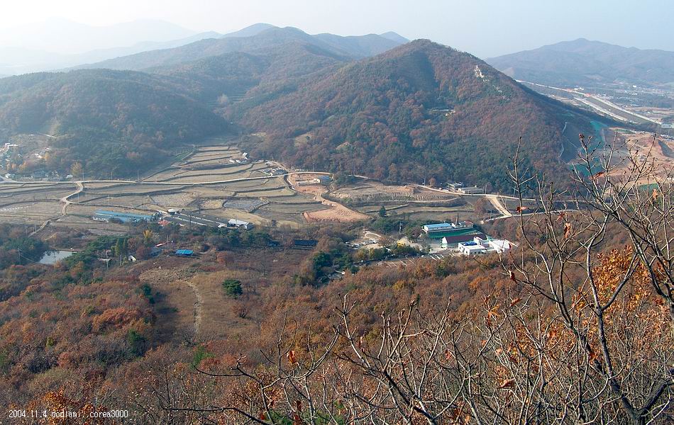 염정의