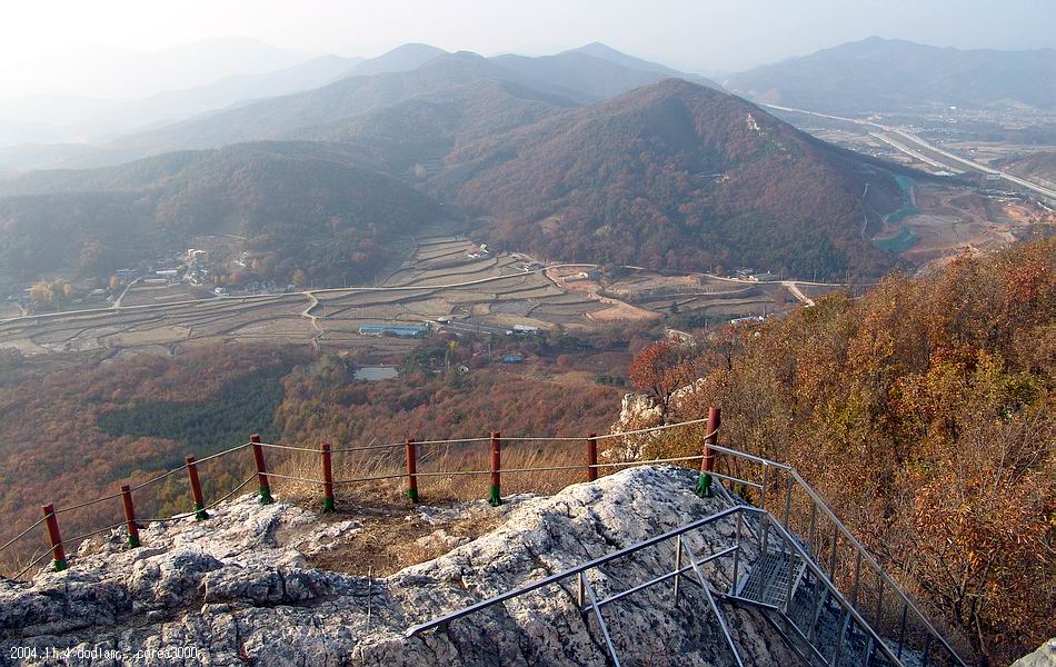 염정의