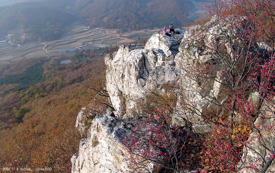염정의