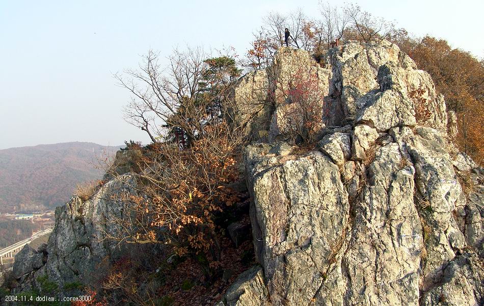 염정의