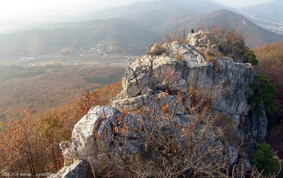 염정의