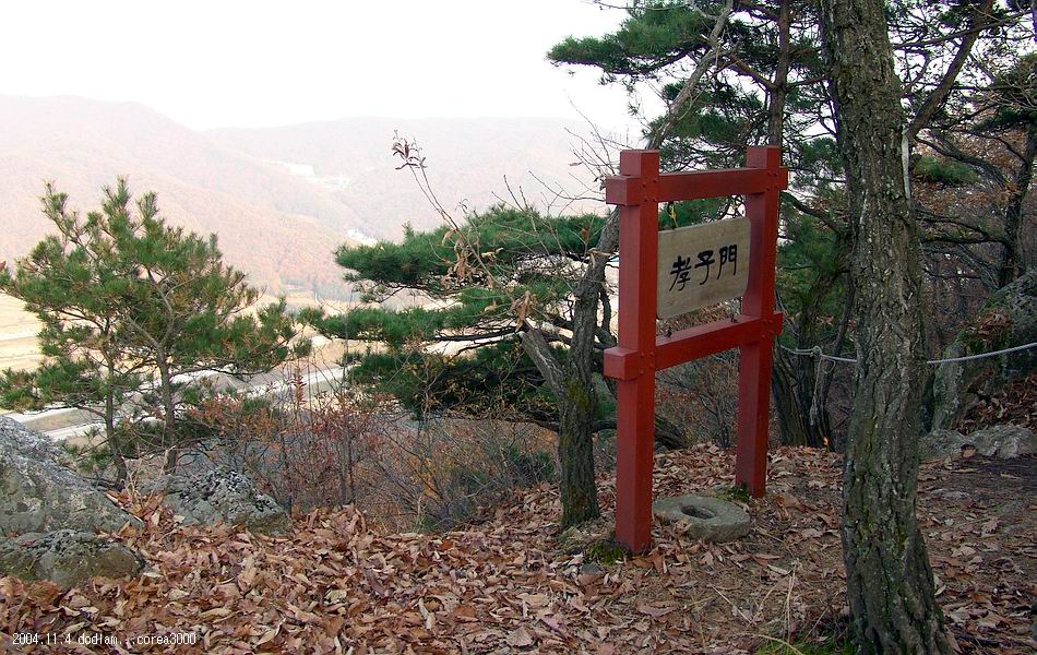 염정의