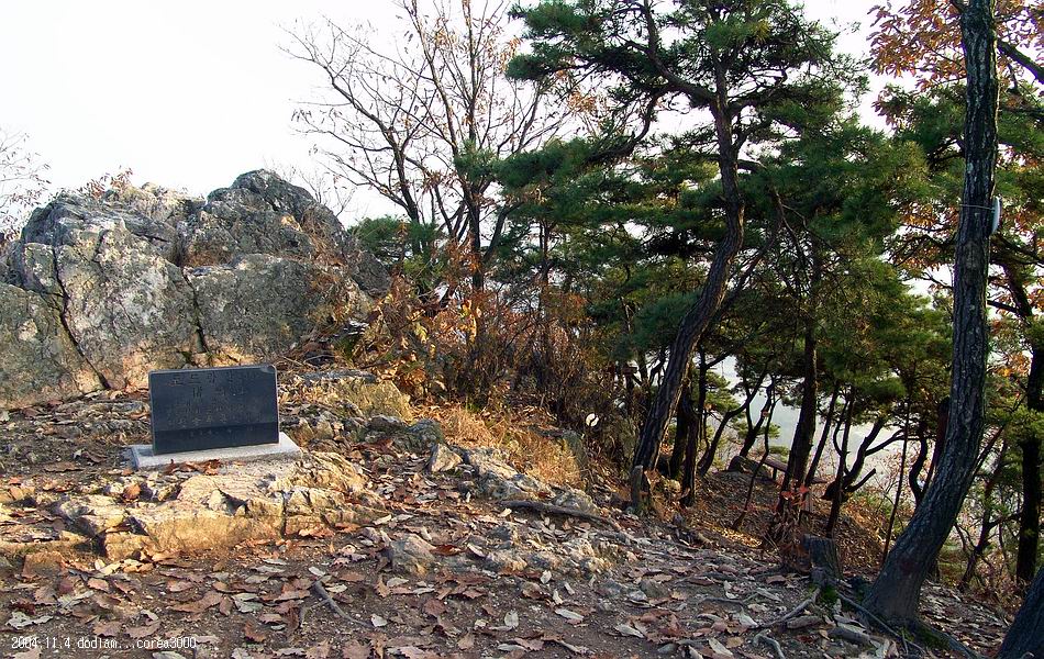 염정의