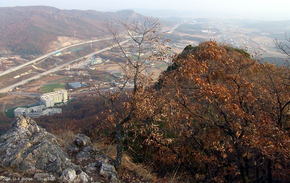 염정의