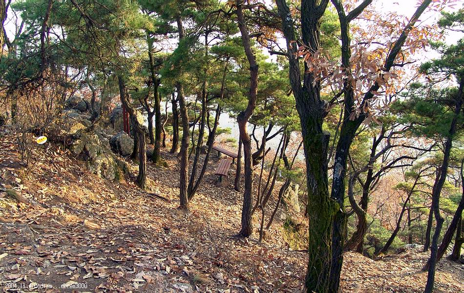 염정의