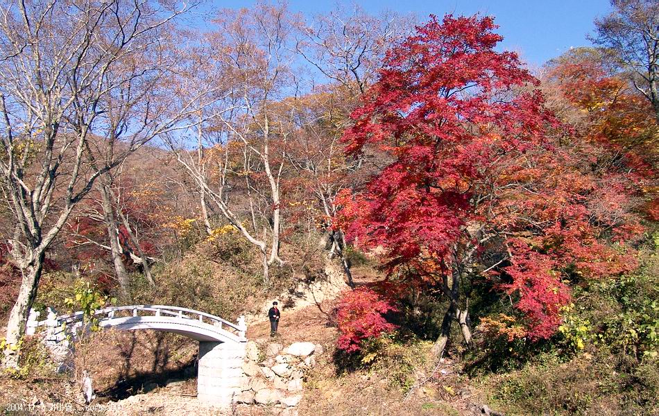 염정의