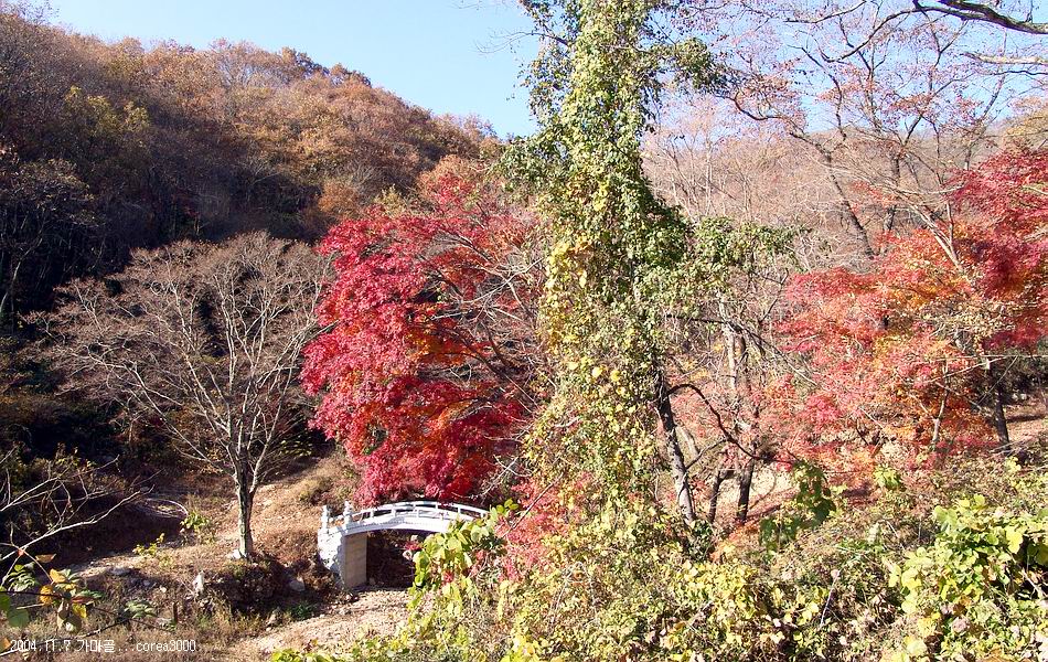 염정의