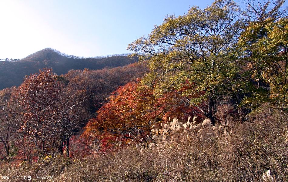 염정의