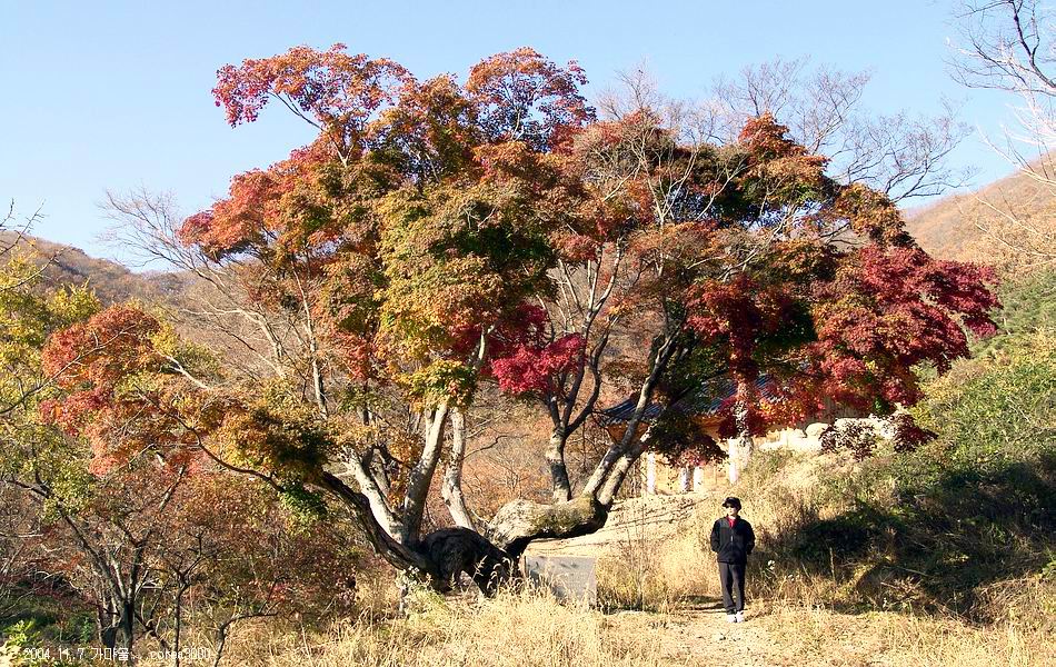 염정의