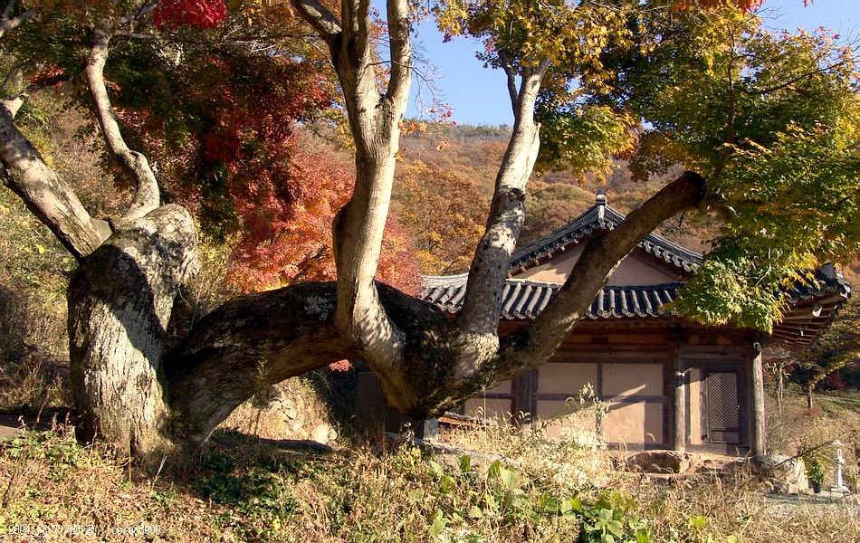 염정의