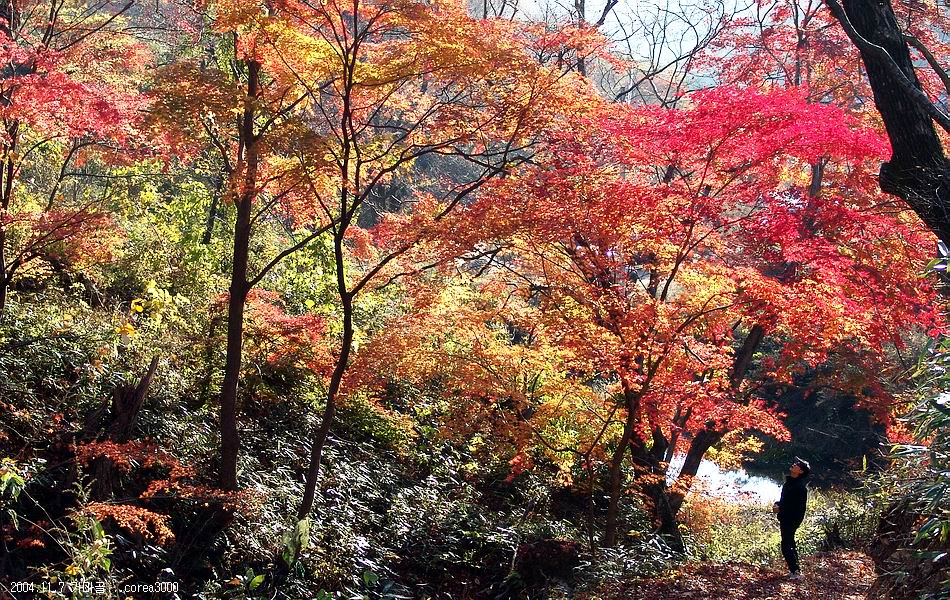 염정의