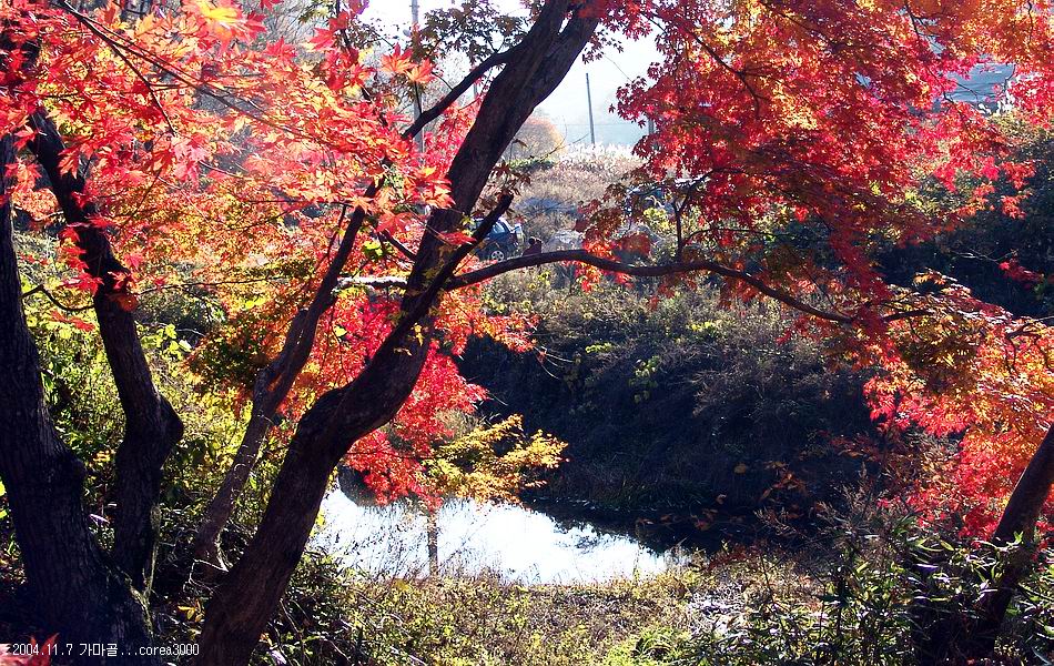 염정의